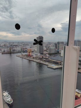 神戸ポートタワーに投稿された画像（2025/9/10）