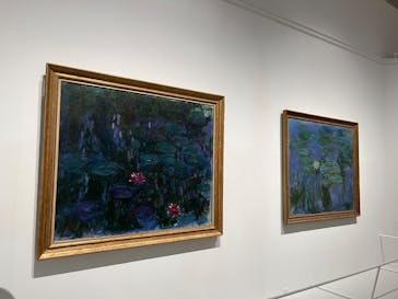 モネ 睡蓮のとき（豊田会場）に投稿された画像（2025/9/10）