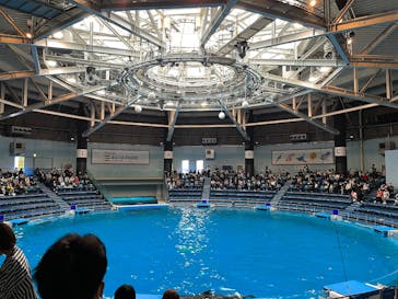 マクセル アクアパーク品川に投稿された画像（2025/9/10）