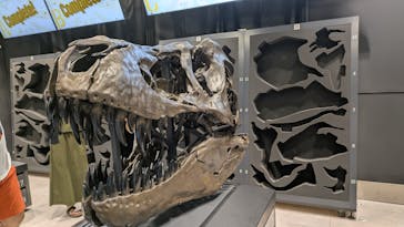 福井県立恐竜博物館に投稿された画像（2025/9/10）