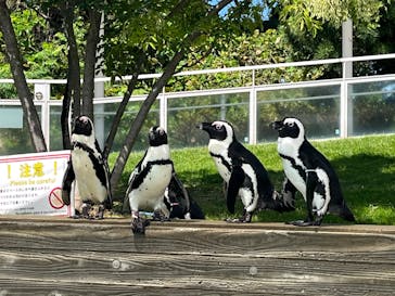 マリンワールド海の中道に投稿された画像（2025/9/10）