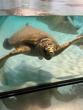 マリンワールド海の中道に投稿された画像（2025/9/10）