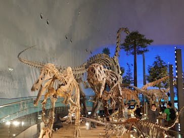 福井県立恐竜博物館に投稿された画像（2025/9/10）