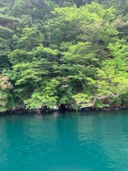 グリランド株式会社に投稿された画像（2025/9/10）