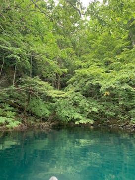 グリランド株式会社に投稿された画像（2025/9/10）