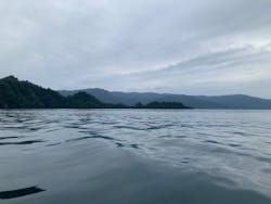 グリランド株式会社に投稿された画像（2025/9/10）