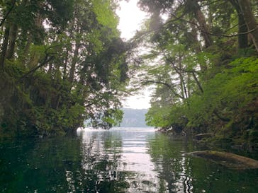 グリランド株式会社に投稿された画像（2025/9/10）