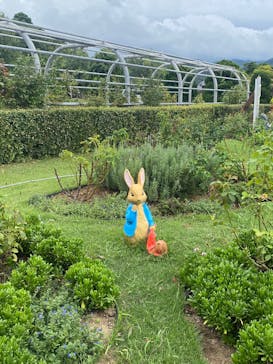 淡路ファームパーク イングランドの丘に投稿された画像（2025/9/10）