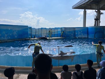 新江ノ島水族館に投稿された画像（2025/9/10）