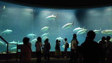 葛西臨海水族園に投稿された画像（2025/9/10）