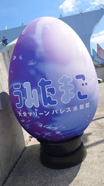 大分マリーンパレス水族館 「うみたまご」に投稿された画像（2025/9/10）