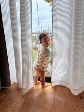 新江ノ島水族館に投稿された画像（2025/9/10）