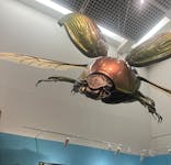 特別展 『昆虫 MANIAC』に投稿された画像（2025/9/11）