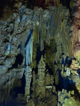 あぶくま洞に投稿された画像（2025/9/10）