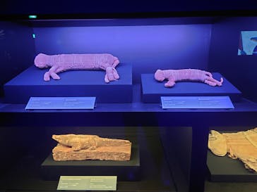 ACN ラムセス大王展 ファラオたちの黄金に投稿された画像（2025/9/10）