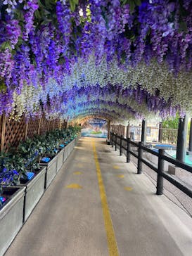 東京サマーランドに投稿された画像（2025/9/10）