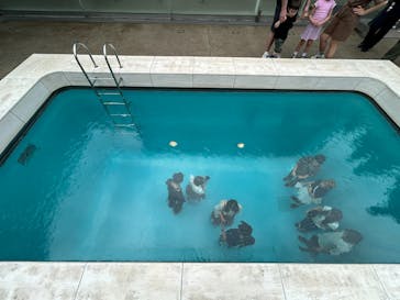 金沢21世紀美術館に投稿された画像（2025/9/11）