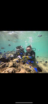 武藤潜水に投稿された画像（2025/9/11）