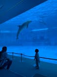 名古屋港水族館に投稿された画像（2025/9/11）