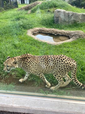 千葉市動物公園に投稿された画像（2025/9/11）