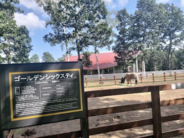 ノーザンホースパークに投稿された画像（2025/9/11）