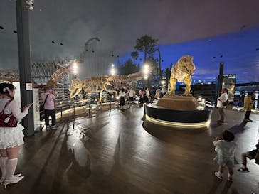 福井県立恐竜博物館に投稿された画像（2025/9/11）