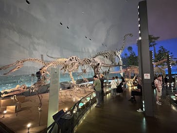 福井県立恐竜博物館に投稿された画像（2025/9/11）