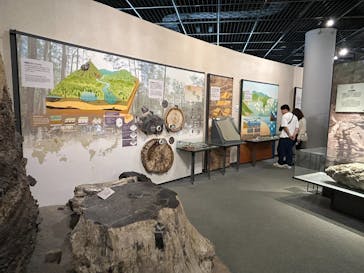 福井県立恐竜博物館に投稿された画像（2025/9/11）