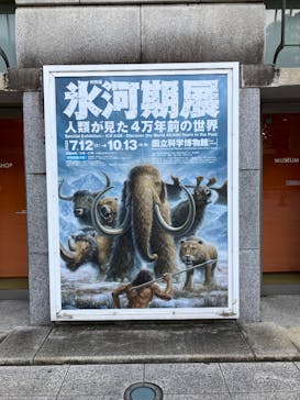 特別展「氷河期展 〜人類が見た4万年前の世界〜」（国立科学博物館）に投稿された画像（2025/9/11）