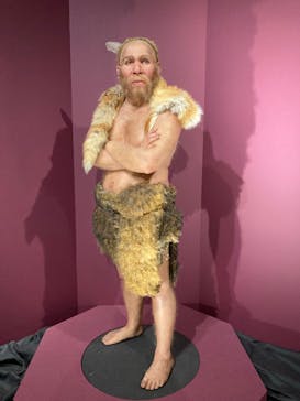 特別展「氷河期展 〜人類が見た4万年前の世界〜」（国立科学博物館）に投稿された画像（2025/9/11）
