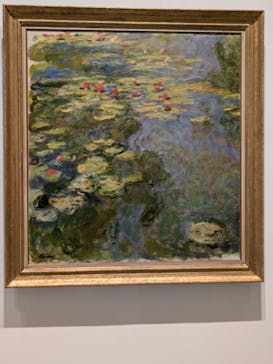 モネ 睡蓮のとき（豊田会場）に投稿された画像（2025/9/11）