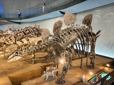福井県立恐竜博物館に投稿された画像（2025/9/11）