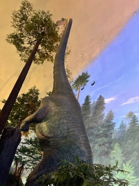 福井県立恐竜博物館に投稿された画像（2025/9/11）