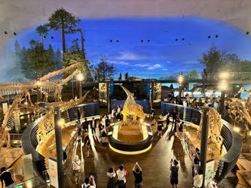 福井県立恐竜博物館に投稿された画像（2025/9/11）