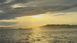 AQUARIUM × ART　atoa×神戸シーバスに投稿された画像（2025/9/11）