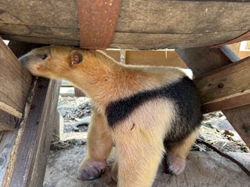 伊豆アニマルキングダムに投稿された画像（2025/9/11）