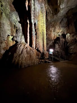 秋芳洞に投稿された画像（2025/9/11）