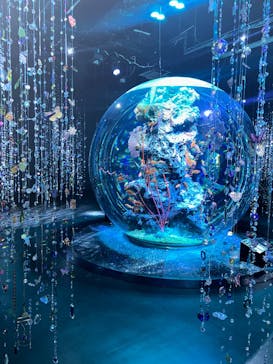 神戸みなと温泉 蓮×AQUARIUM × ART　atoaに投稿された画像（2025/9/11）