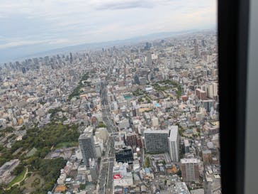 ハルカス300(展望台)に投稿された画像（2025/9/11）