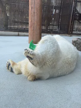 愛媛県立とべ動物園に投稿された画像（2025/9/11）
