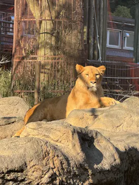 愛媛県立とべ動物園に投稿された画像（2025/9/11）