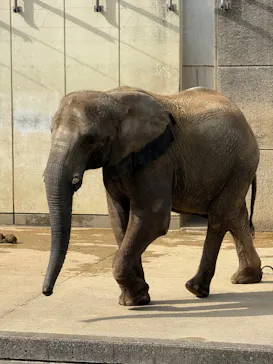 愛媛県立とべ動物園に投稿された画像（2025/9/11）