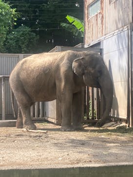 宇都宮動物園に投稿された画像（2025/9/11）