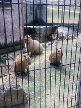 宇都宮動物園に投稿された画像（2025/9/11）