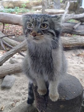 那須どうぶつ王国に投稿された画像（2025/9/11）