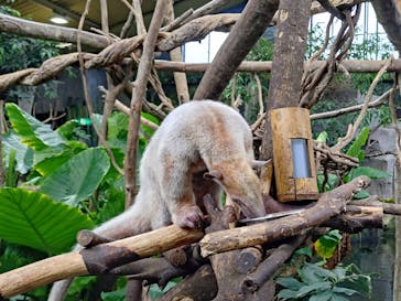 那須どうぶつ王国に投稿された画像（2025/9/11）