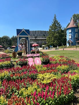 ムーミンバレーパークに投稿された画像（2025/9/12）