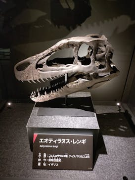 福井県立恐竜博物館に投稿された画像（2025/9/12）