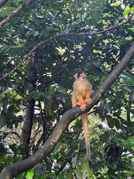 石垣やいま村に投稿された画像（2025/9/12）