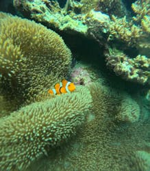 マーレ石垣島に投稿された画像（2025/9/12）